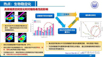 城市污水廠污泥處置工藝技術(shù)路線——同濟戴曉虎教授技術(shù)推廣